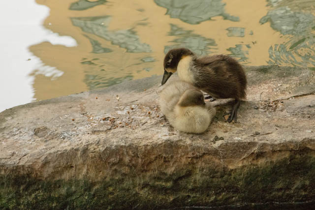 San Antonio River Walk
